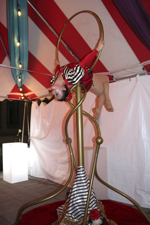 Freestanding Lyra circus performer- catalyst arts