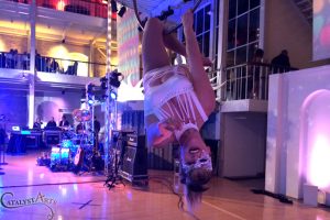 Elegant Ambient Entertainment & Aerialists by Catalyst Arts Entertainment
