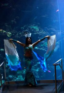 Aquatic themed Google Event