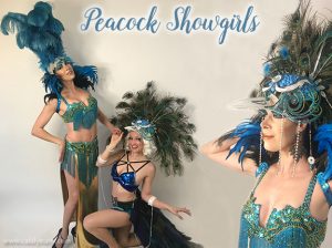 Peacock Showgirls