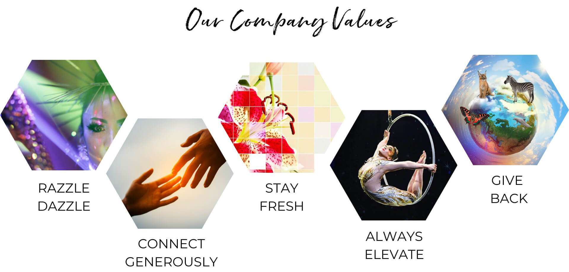 Catalyst Arts company values + visualized business values
