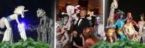 Three photo collage of catalyst arts talents dressed as party animals