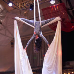 Silks Aerialist with Catalyst Arts- Avery Wong Photo