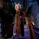 Circus Entertainment by Catalyst Arts