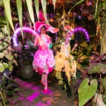 Catalyst Arts at Nightbloom