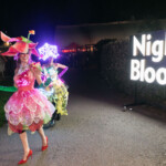 SAN FRANCISCO, CA - November 22 - Catalyst Arts attends Conservatory of Flowers Night Bloom 2019 on November 22nd 2019 at Conservatory of Flowers in San Francisco, CA (Photo - Devlin Shand for Drew Altizer Photography) SAN FRANCISCO, CA - November 22 - Alexander Fabry attends Conservatory of Flowers Night Bloom 2019 on November 22nd 2019 at Conservatory of Flowers in San Francisco, CA (Photo - Devlin Shand for Drew Altizer Photography)