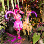 Catalyst Arts attends Conservatory of Flowers Night Bloom 2019 on November 22nd 2019 at Conservatory of Flowers in San Francisco, CA (Photo - Devlin Shand for Drew Altizer Photography)