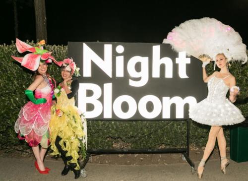 Catalyst Arts Entertainment performs at Conservatory of Flowers Night Bloom 2019 on November 22nd 2019 at Conservatory of Flowers in San Francisco, CA (Photo - Devlin Shand for Drew Altizer Photography)